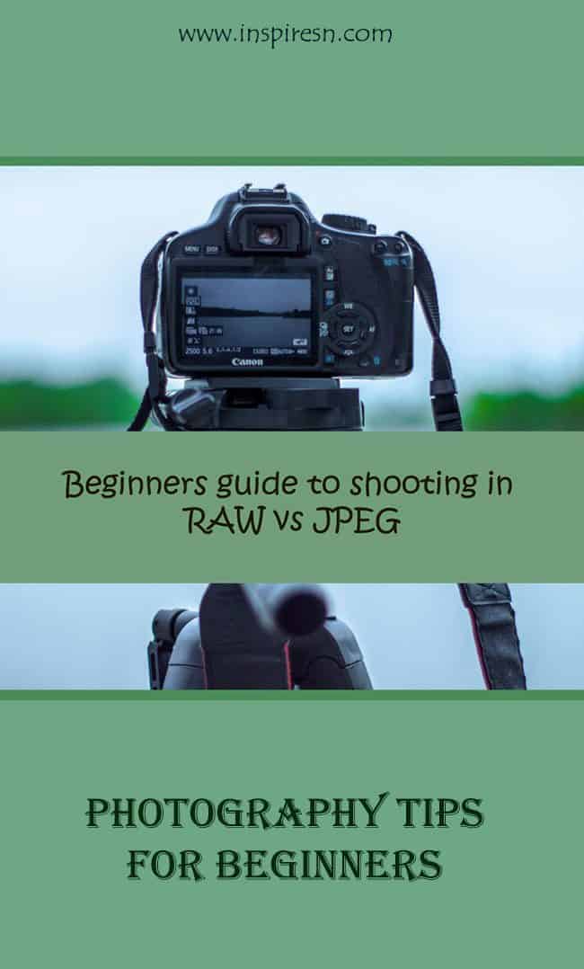 Plus Jpeg Beginners guide to shooting in RAW vs JPEG - InspiresN