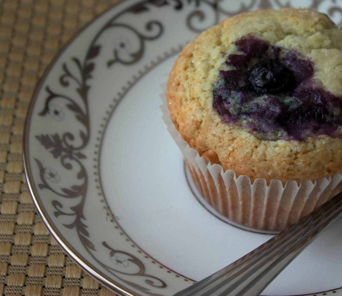 Blueberry muffin in a white saucer.