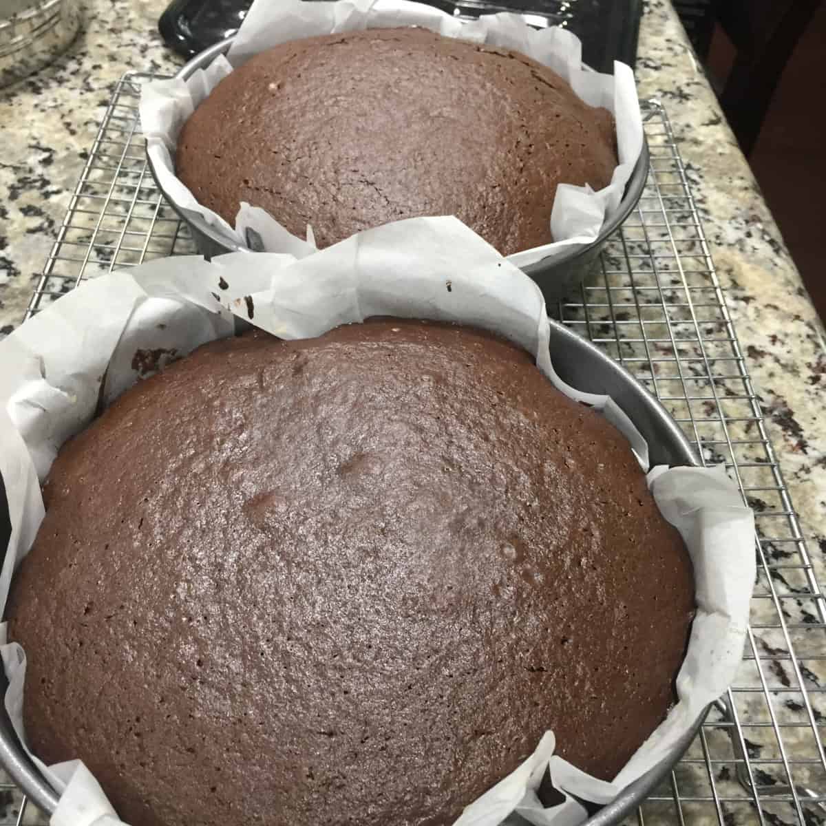 chocolate cakes in a pan lined with parchment paper out of the oven.