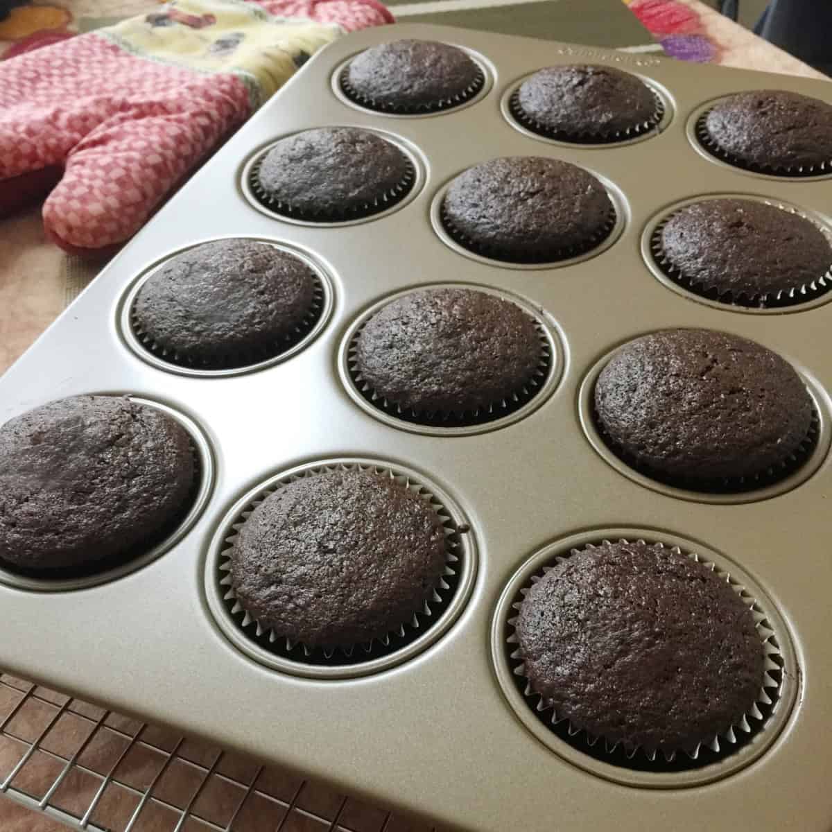 chocolate cupcakes baked and ready to be cooled.