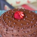 Cake made with The Best Fudgy Chocolate Cake Recipe, frosted with chocolate butter cream and topped with strawberry.