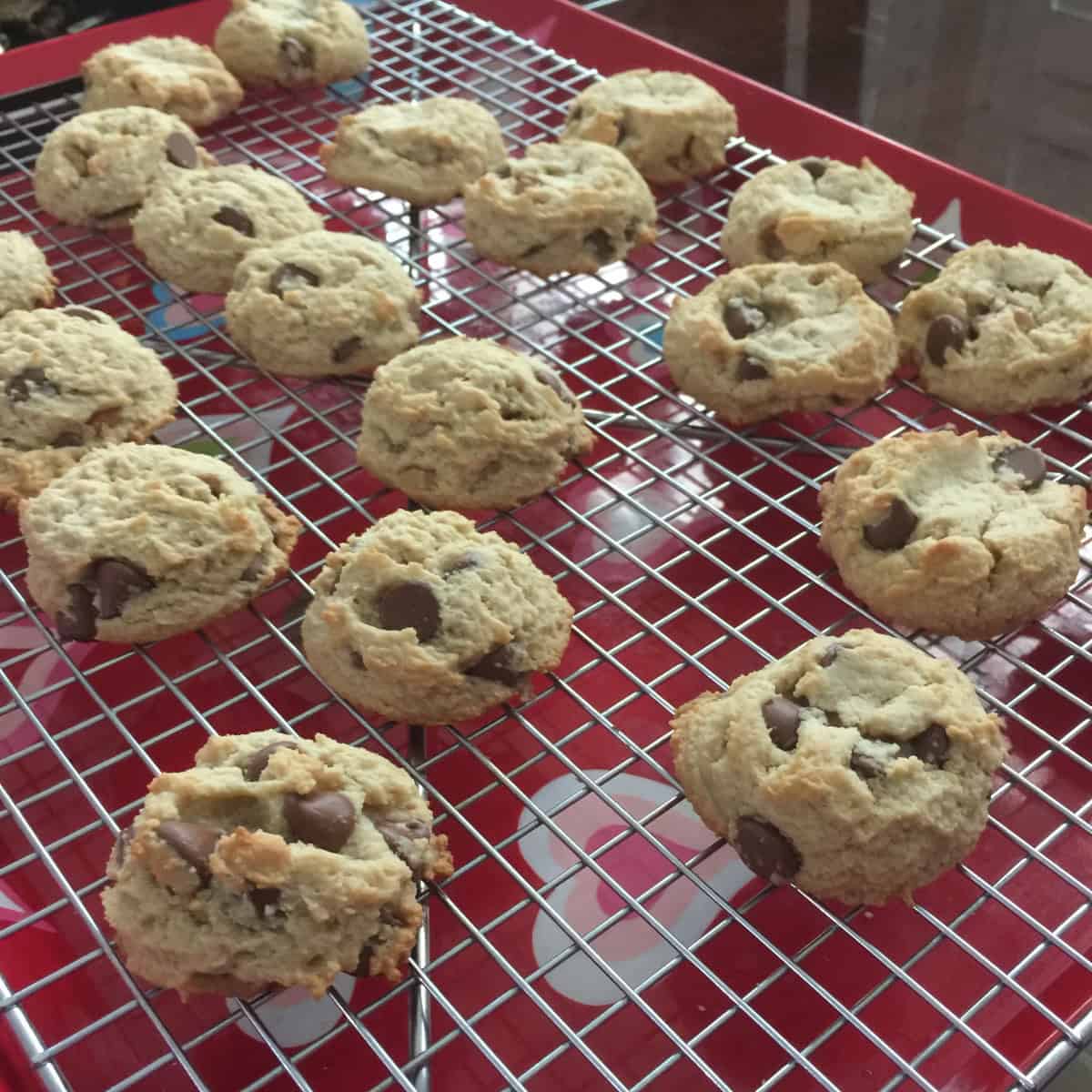Almond flour chocolate chip cookies cooling on a cooling rack.